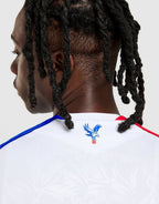 Crystal Palace Away Shirt 2025/2026